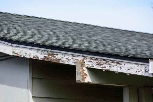 Ithaca Wood Rot Repair