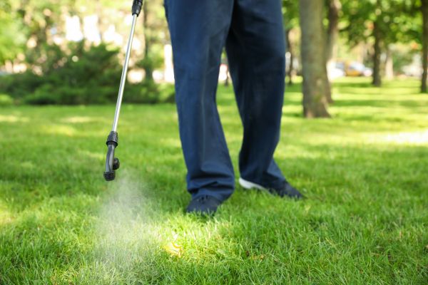 Ithaca Lawn Treatment