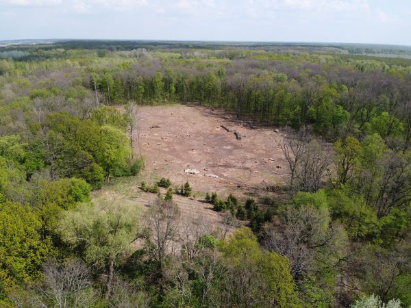 Ithaca Land Clearing