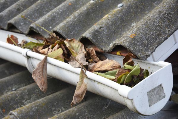 Ithaca Gutter Cleaning