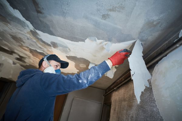 Ithaca Fire Restoration